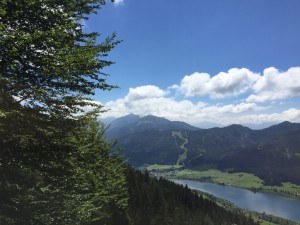 thumb_IMG_0417_1024 