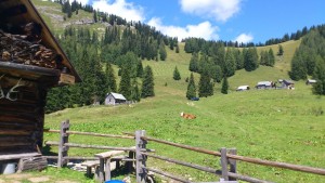 stoiringalm_20120815_1163447001