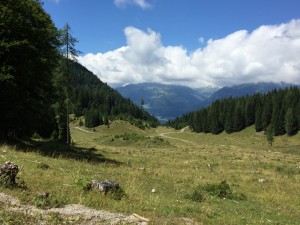 37_bild  