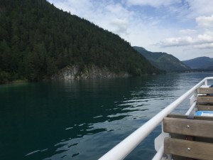 thumb_IMG_0397_1024 